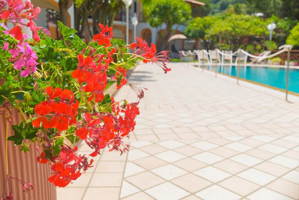 Ischia Dream Sunset Hotel Forio  Exterior photo